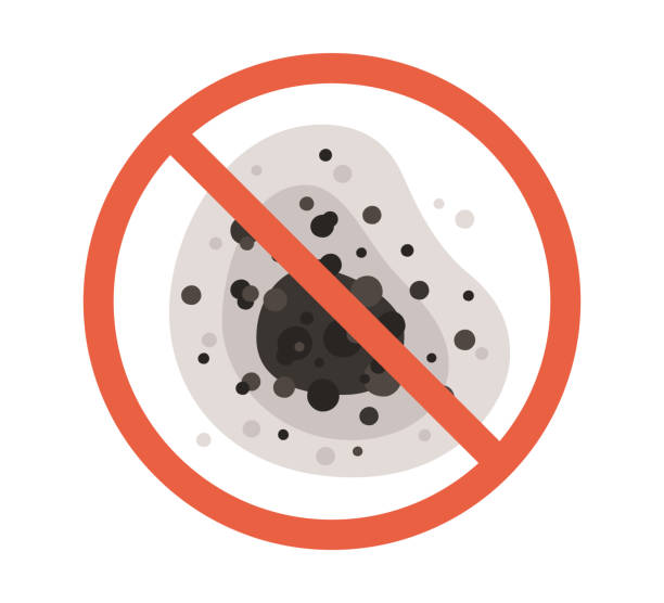 Best Mold Removal for HVAC Installations  in Cheval, FL